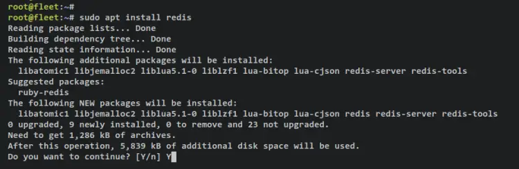 install redis
