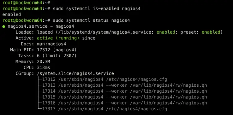 check nagios service