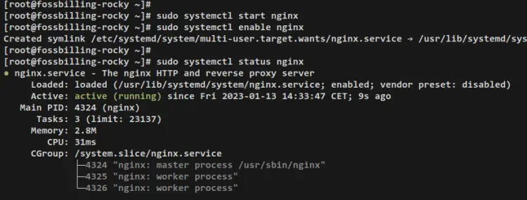 start verify nginx