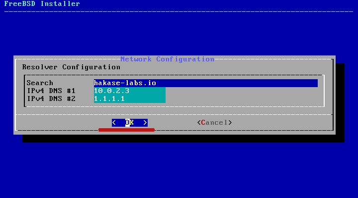 DNS Resolver