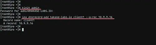 IPA DNS Record