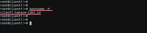 Setup the hostname
