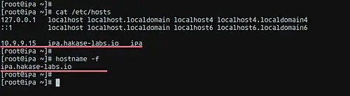 Check the hostname