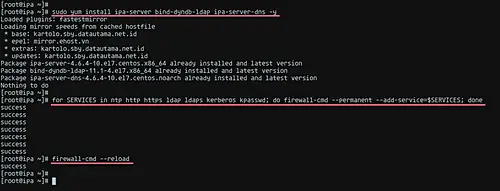 Install FreeIPA