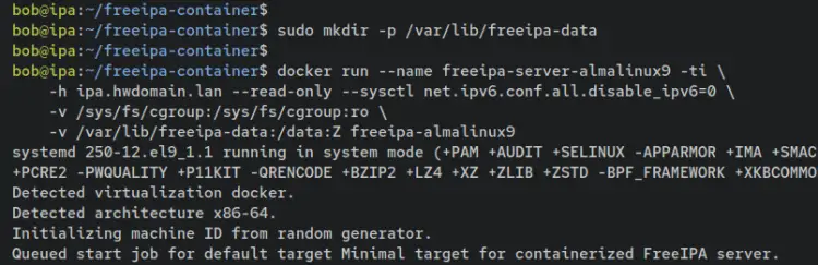 create container freeipa server