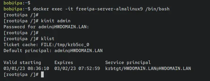 login freeipa container