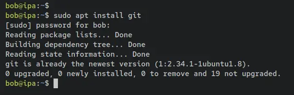 install git