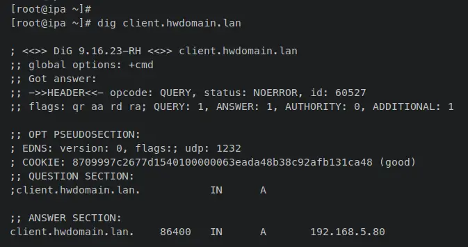 verify dns record