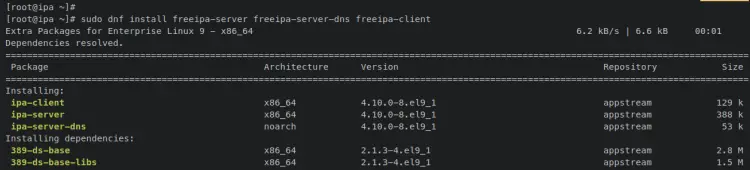 install freeipa server