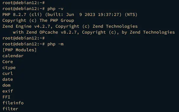 check php version and extensions