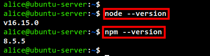 check nodejs npm