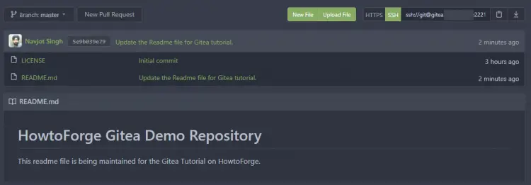 Gitea Successful Commit