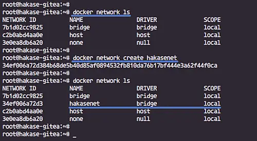 Check docker network