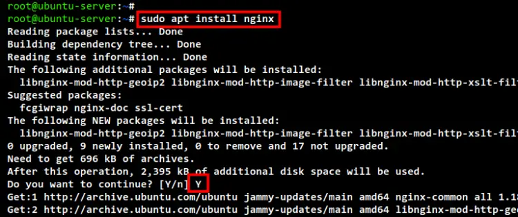 install nginx