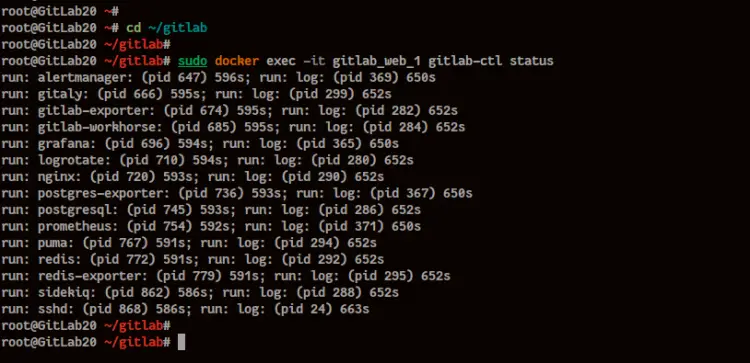 Gitlab container check services status