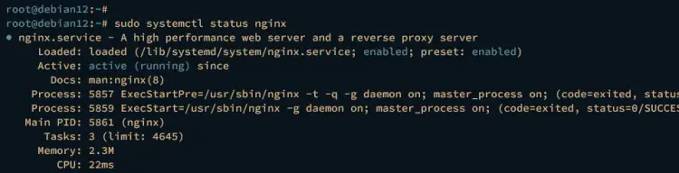 check nginx