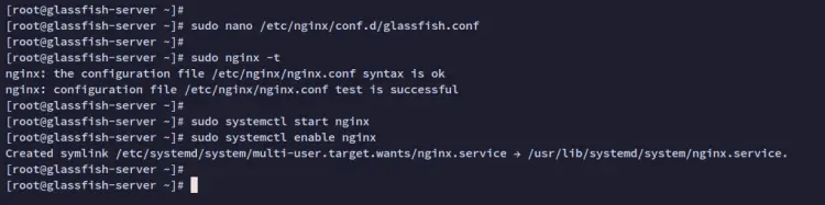 setup nginx reverse proxy