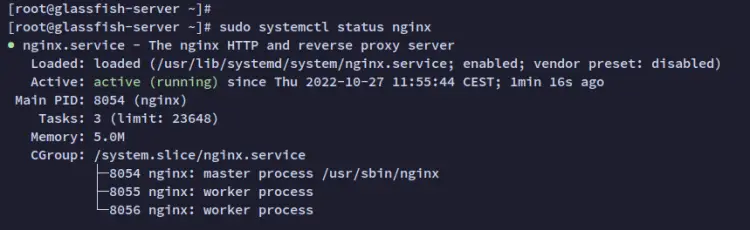 check nginx