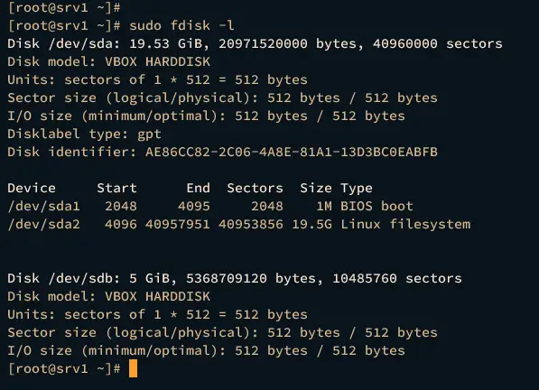 check list disk