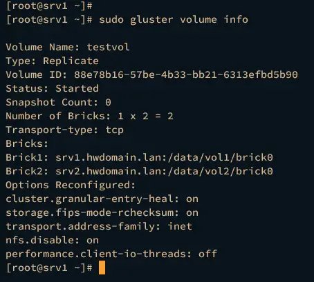 glusterfs volume info