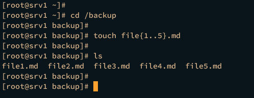 create test file from srv1