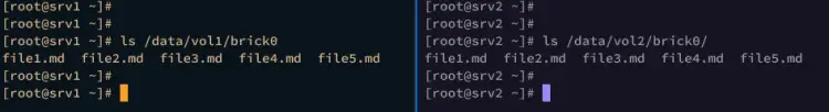 check files