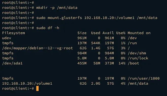 mount glusterfs volume