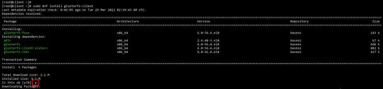 install glusterfs client