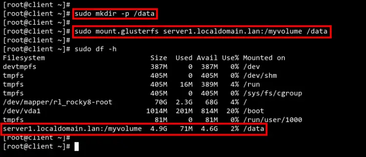 mount glusterfs volume