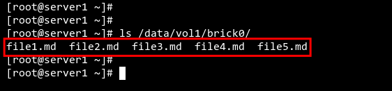 Check file from server1
