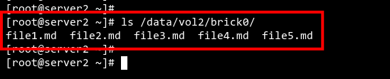 Checking file from server2