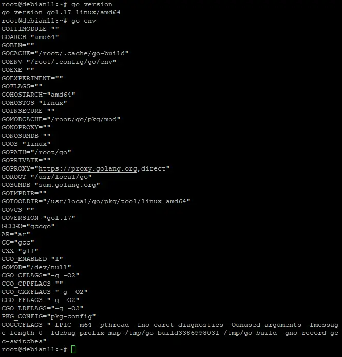 Setting up the Go Environment