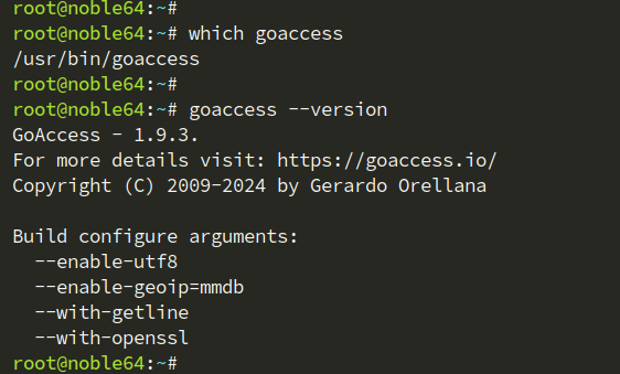check goaccess