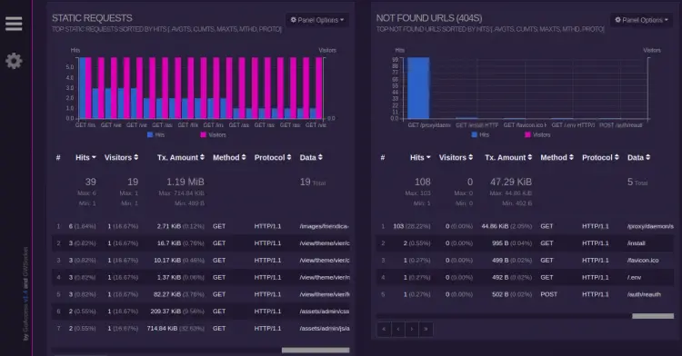 Goaccess HTML report