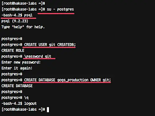 Install psql linux