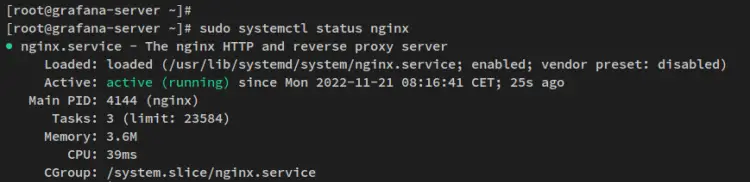 verify nginx