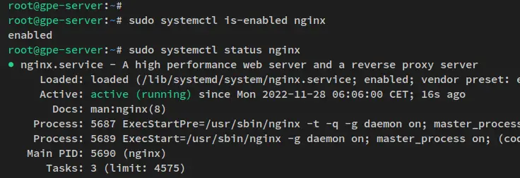 verify nginx