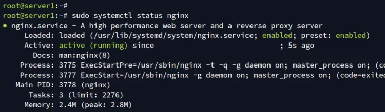 check nginx