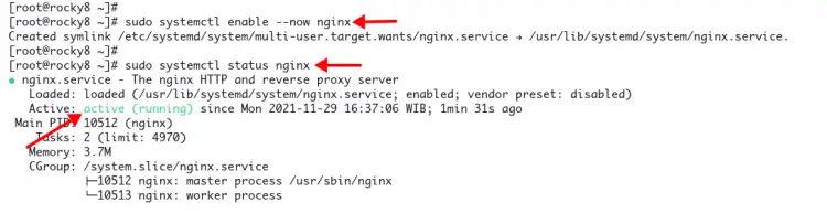 Setup nginx as a reverse proxy for grafana