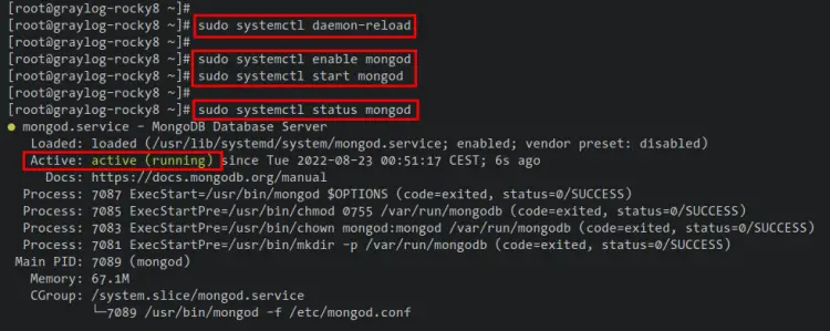 check mongodb service