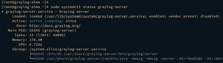 checking graylog service