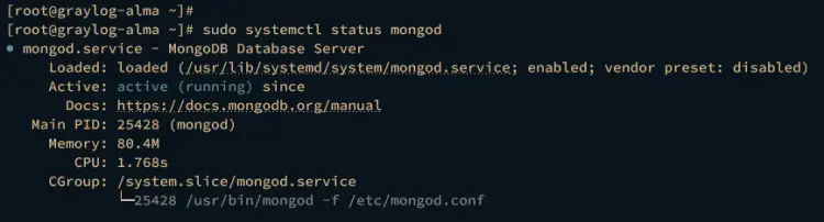 checking mongodb