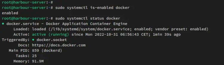 verify docker service