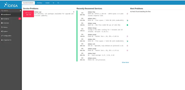 Icinga dashboard