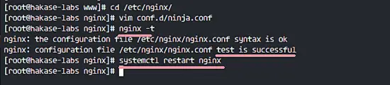 Configure Nginx Virtual Host for Invoice Ninja