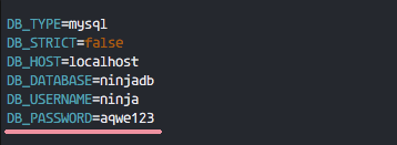 environment configuration for Invoice Ninja