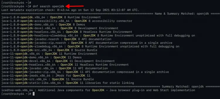 Search Java OpenJDK on Rocky Linux
