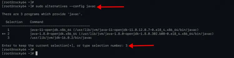 Setup default Javac version