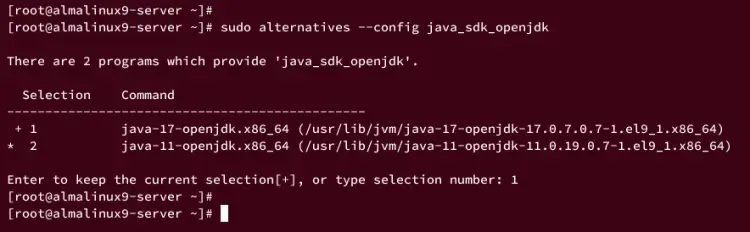 cganging default jdk
