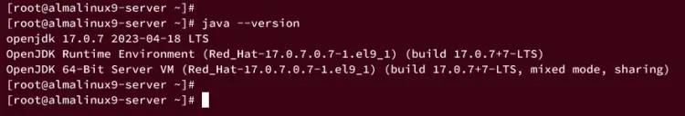 checking openjdk 17